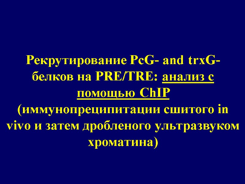 Рекрутирование PcG- and trxG-белков на PRE/TRE: анализ с помощью ChIP (иммунопреципитации сшитого in vivo